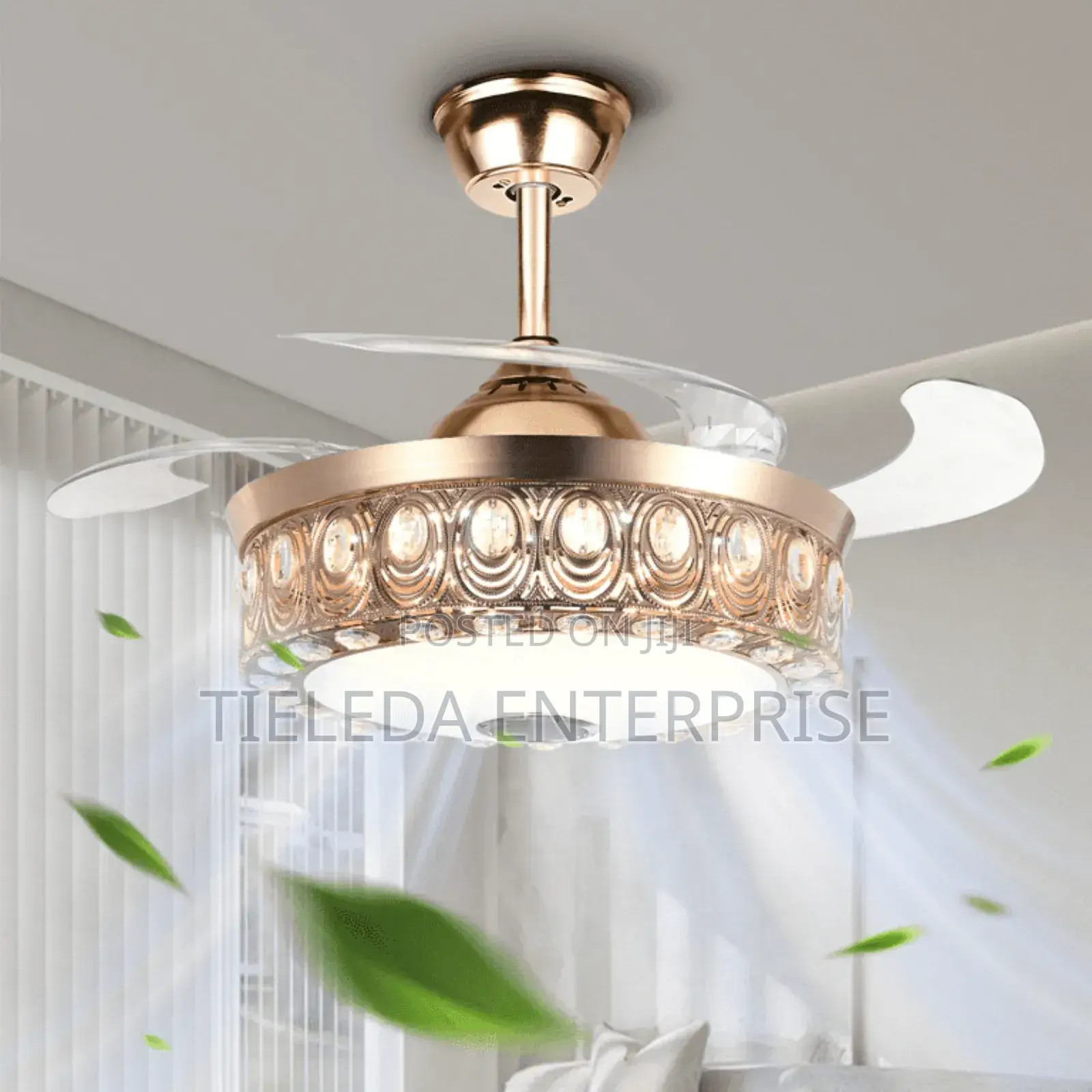 Eyeball Bluetooth Chandelier Fan Light
