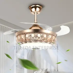 Eyeball Bluetooth Chandelier Fan Light