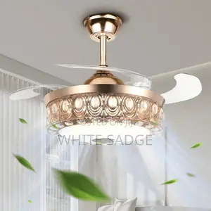 Eyeball Bluetooth Chandelier Fan Light