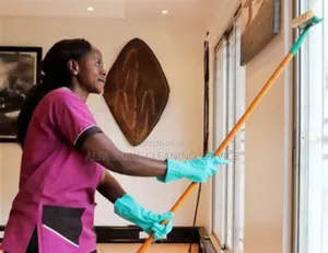 ALPHA Shine Cleaning Services