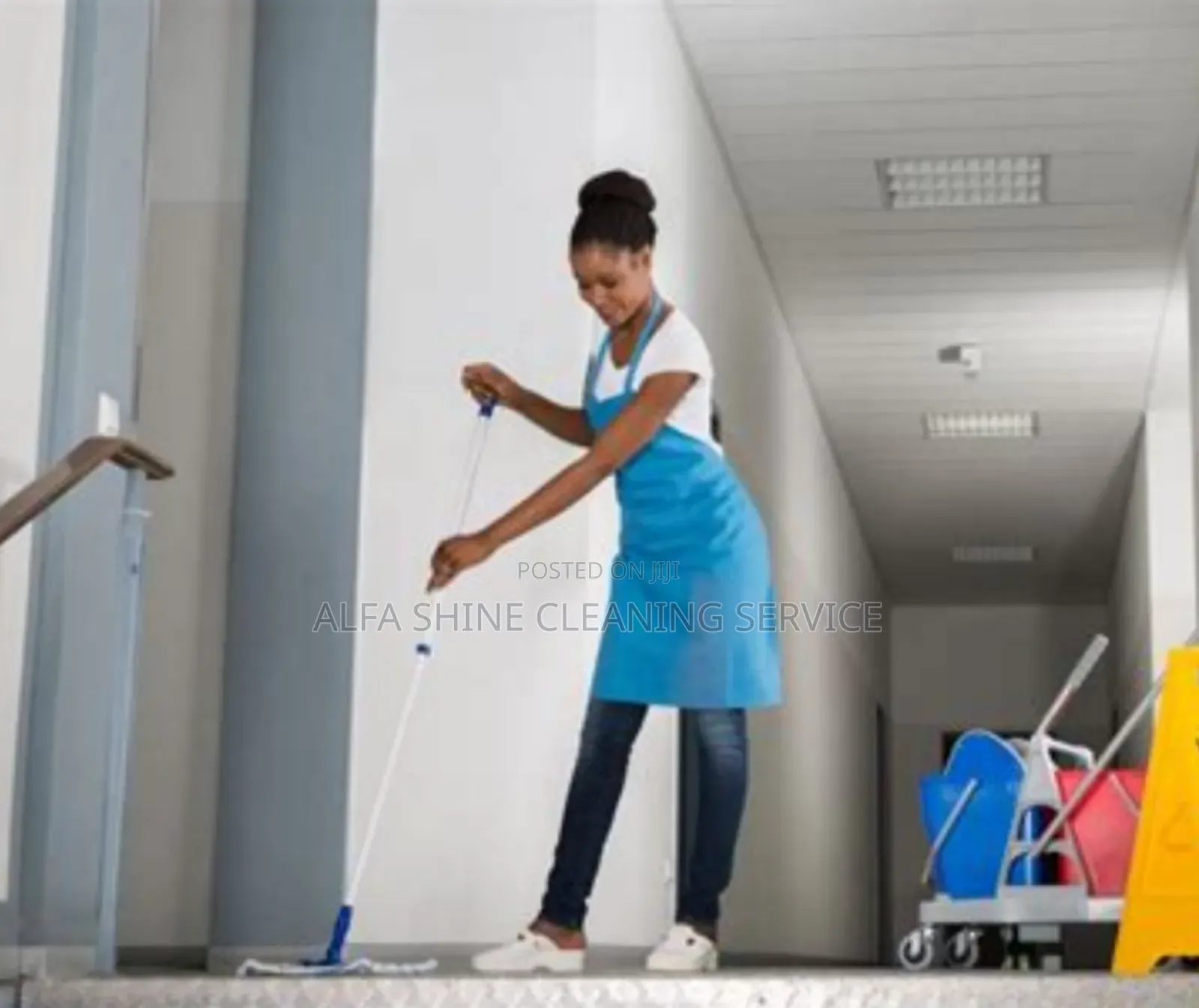 ALPHA Shine Cleaning Services