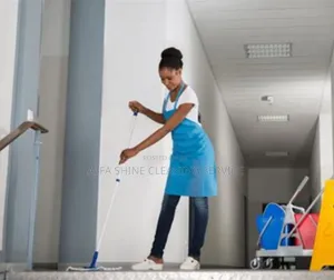 ALPHA Shine Cleaning Services