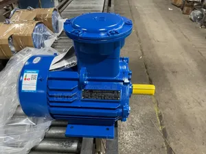 EX Explosive Proof Gas Motors