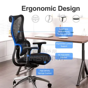Ergonomic Office Chair