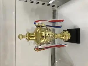 Football Trophy (37cm)