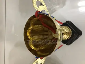 Football Trophy (40cm)
