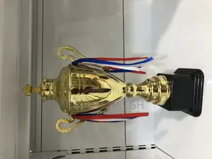 Football Trophy (43cm)