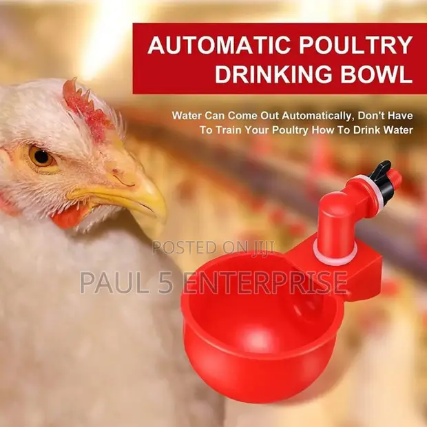 Chicken Automatic Drinkers Good Quality L in Kasoa Farm