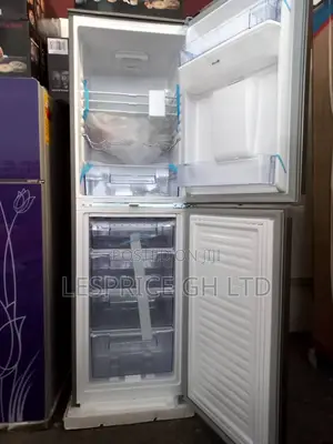 High Cooling Neon 246L Double Door Fridge