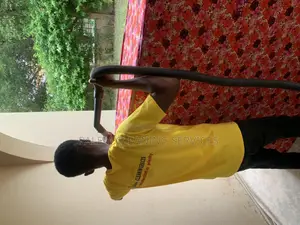 Upholstery and Carpet Cleaning