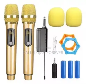 Wireless Microphone