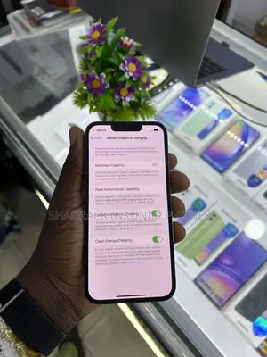 Apple iPhone 13 Pro 256 GB Gray