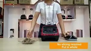 2 in 1 Heavy Duty Commercial Kitchen Household Fresh Blender