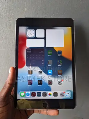 Apple iPad mini 4 128 GB Gray
