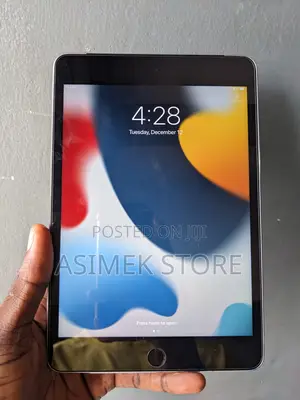 Apple iPad mini 4 128 GB Gray