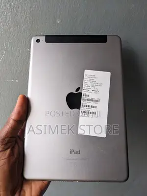 Apple iPad mini 4 128 GB Gray