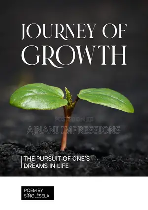 Flyer Design And Print
