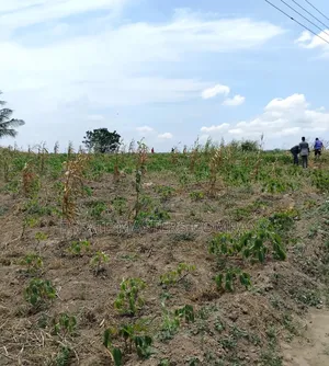 Monumental Land Available at Panfokrom