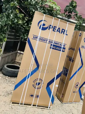 Shop Affordable PVC-316 Glass 2 Doors Pearl 238 Liter