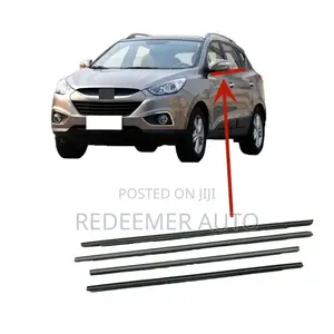 Door Moulding, Door Strip, Weather Strip Chrome Available