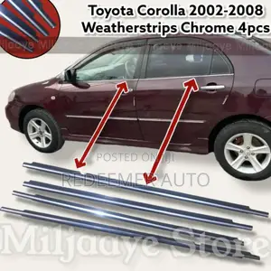 Door Moulding, Door Strip, Weather Strip Chrome Available