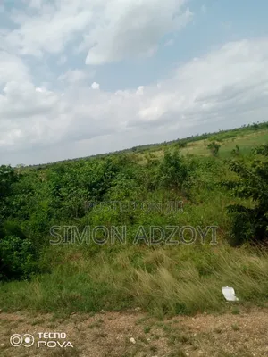 6000 Acres Farm Land Available for Long Term Lease