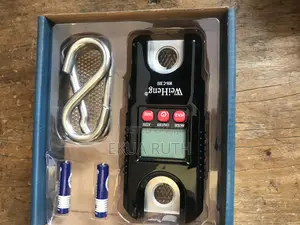 Mini Crane Scale