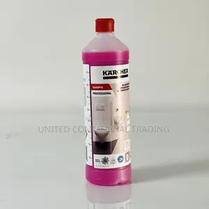 Sanitary Basic Cleaning (Karcher)