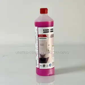 Sanitary Basic Cleaning (Karcher)