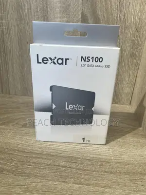 Lexar Ns100