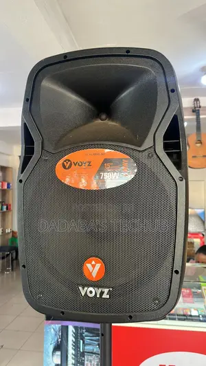 Voyz 15" Rechargeable Speaker