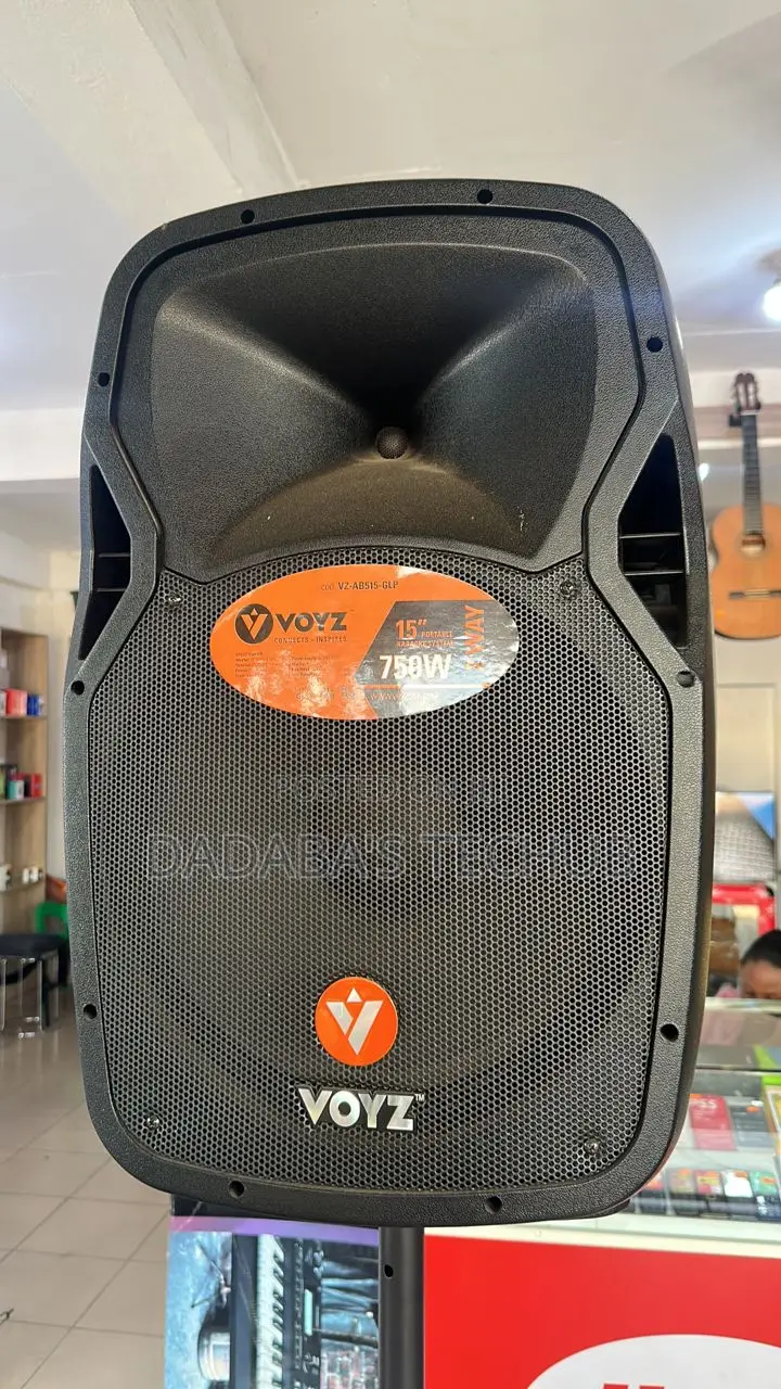 Voyz 15" Rechargeable Speaker