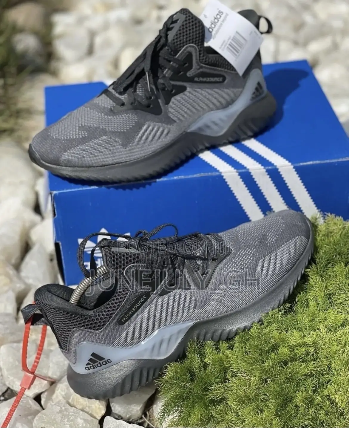 Ash Adidas Alpha Bounce Sneakers
