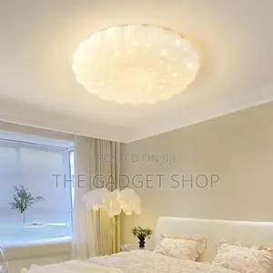 50cm Ceiling Light