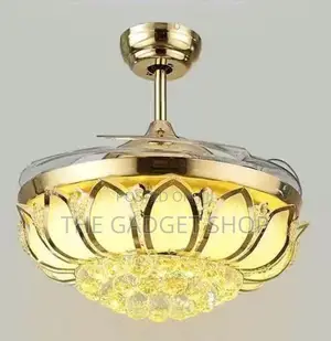 Ceiling Fan With Light