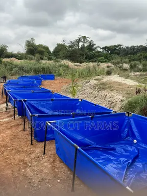Tarpaulin Fish Tank