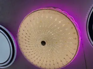 Vlite Multi Colour Ceiling Light