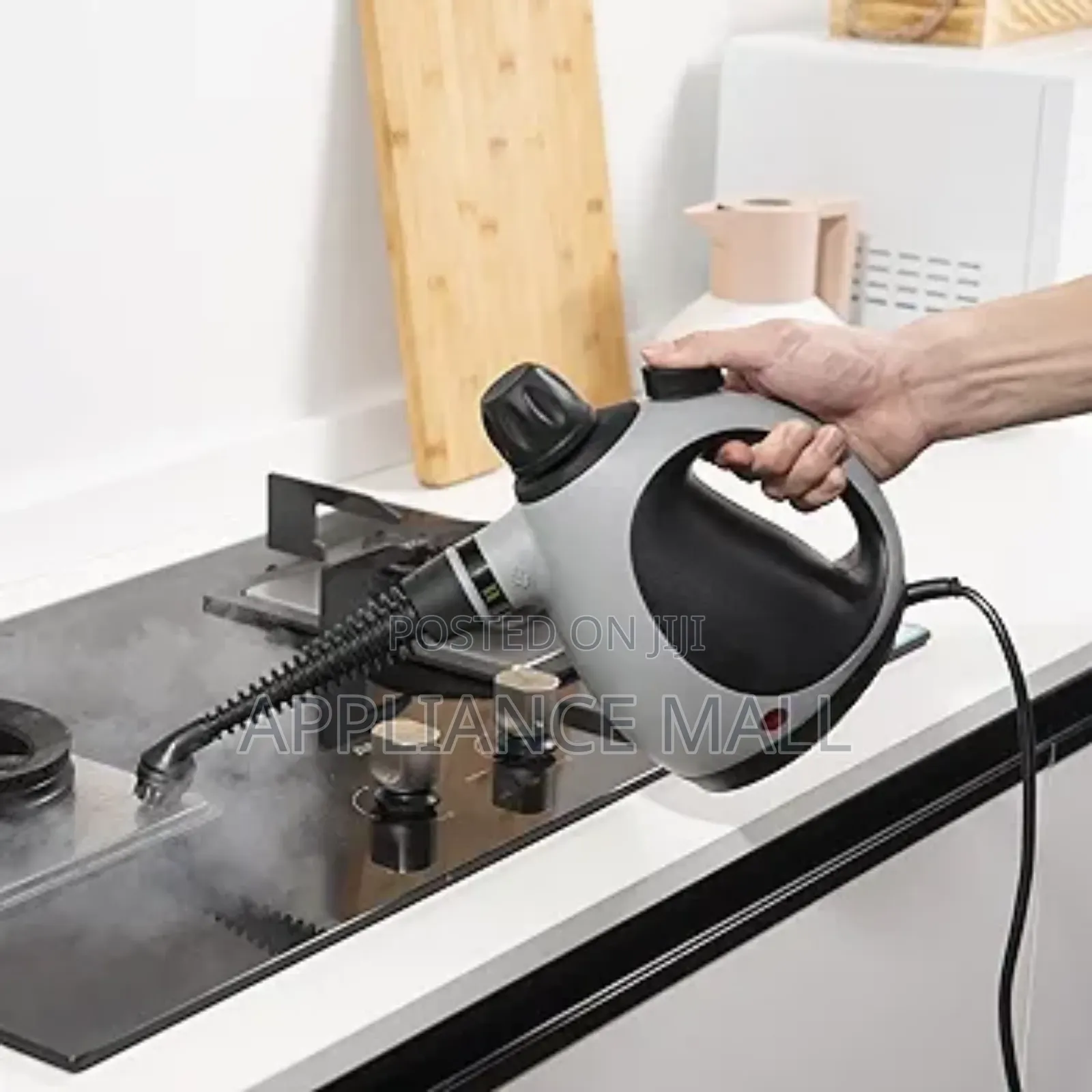Handheld Steam Cleaner Germany
