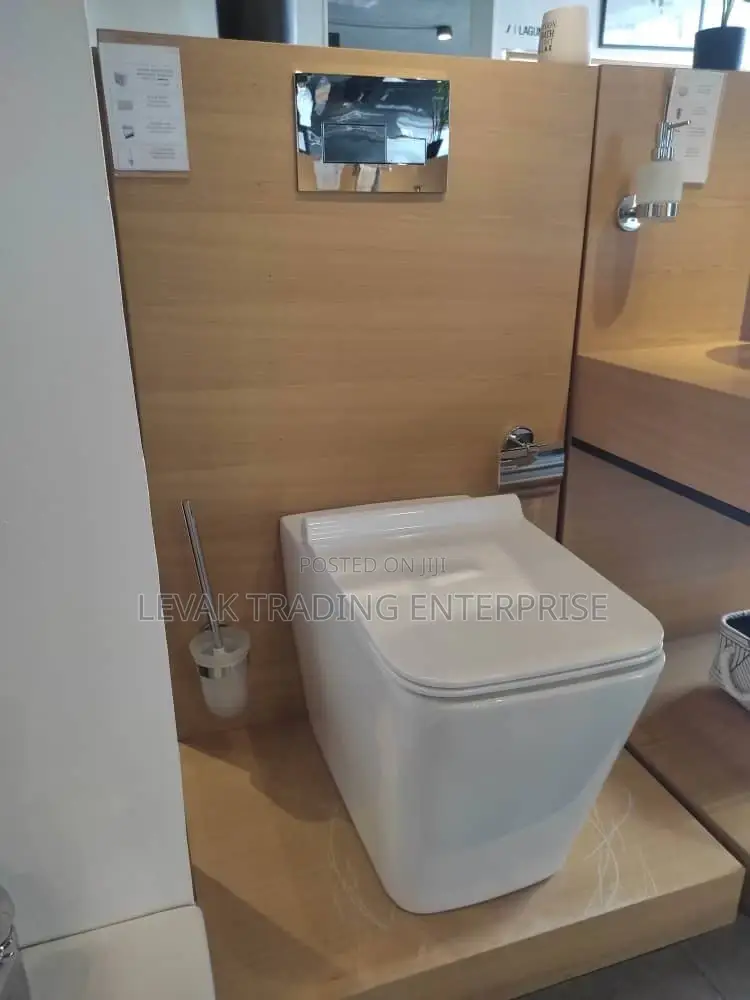 Concealed Designer Toilet Seat _ Wall Hung Toilet Bowl