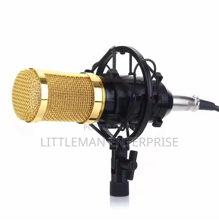 Microphone With V8 Sound Card Full Set
