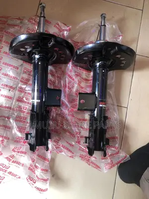 Sonata 2011-2014 American Type Front Shocks