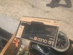 Amazing Deal on OLED55BXPVA LG