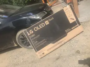 Amazing Deal on OLED55BXPVA LG