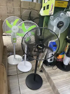 Rechargeable Standing Fan