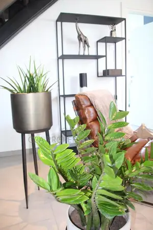 3bdrm House in Cantonments, Acquinas for sale