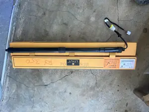Lexus Rx 350 Electronic Automatic Boot Shocks