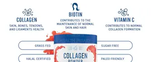 Collagen Protein Peptides Anti Aging Skin Hair Nails Joints