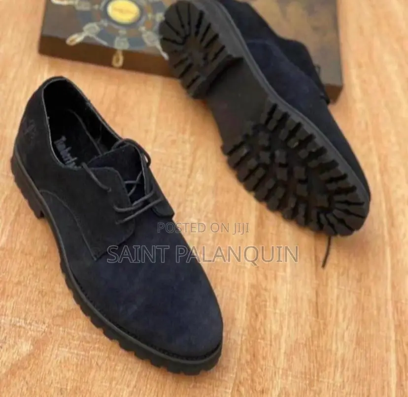 Timberland Surde Shoe