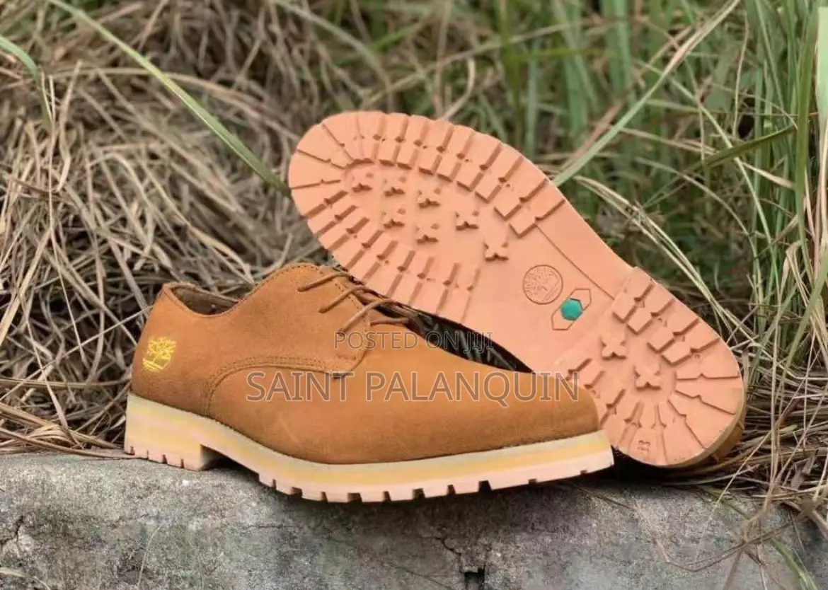 Timberland Surde Shoe