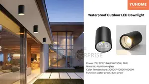 Ceiling Mount Outdoor/Indoor